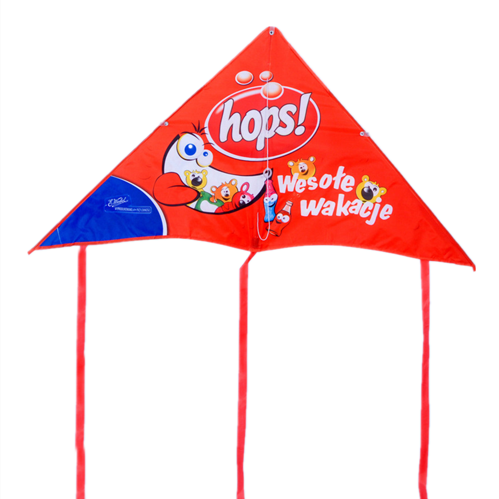 Promotional Triangle Kite,Kites